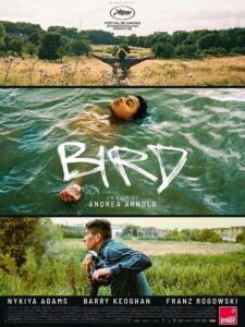 Affiche du film Bird sortie en 2025
